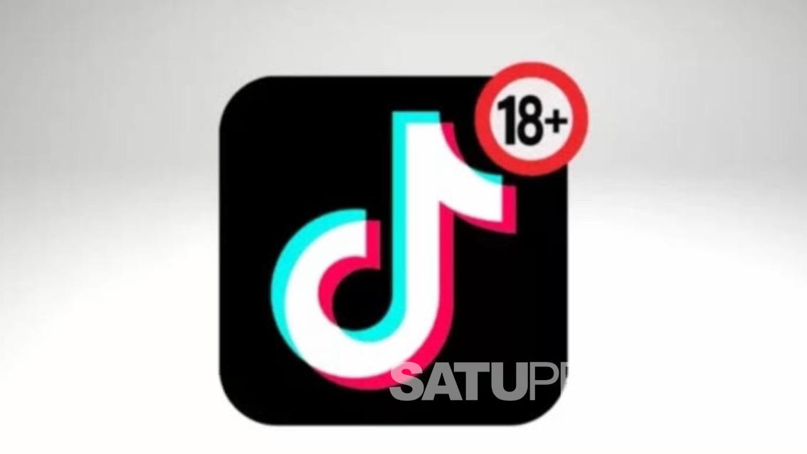 Tiktok 18 Pulse Online